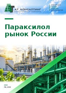 Рынок параксилола в России: комплексы ароматики, терефталевая кислота и ПЭТФ, внешняя торговля, акциз, цены, профили компаний, проект ТАНЕКО, прогноз до 2030 г.