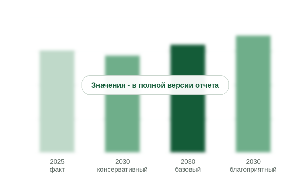 Мелкий опт в 2025 г. и прогноз на 2030 г. по сценариям, млн т