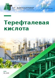 Рынок терефталевой кислоты (ТФК) в России: производство, импорт из Китая, баланс, ПЭТФ, цены, профили компаний, прогноз до 2030 г.